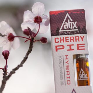 AbsoluteXtracts Cherry Pie