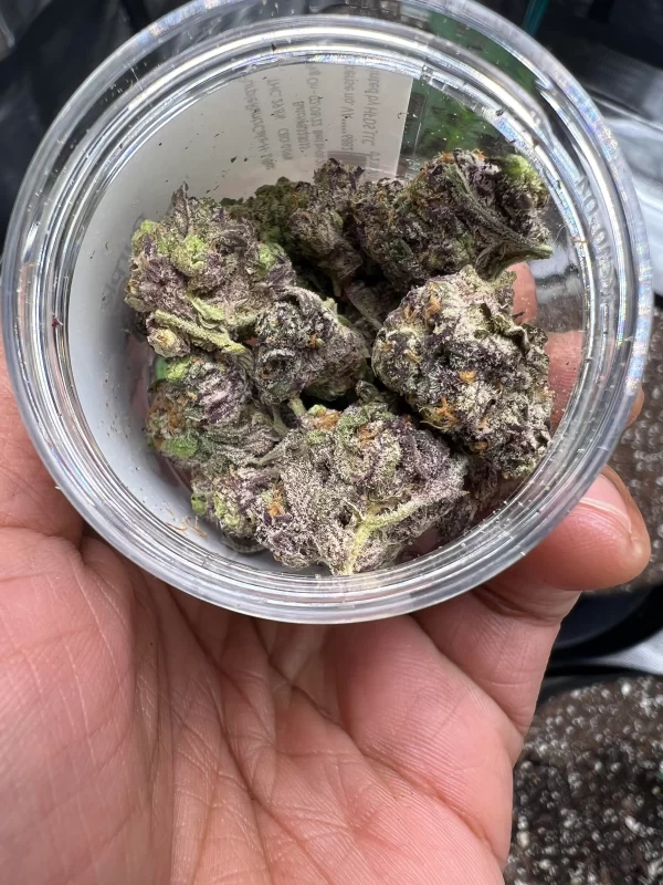 Purple Runtz strain